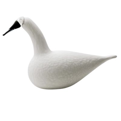 Iittala 