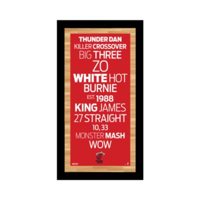 Steiner Sports Miami Heat Subway Sign Wall Art