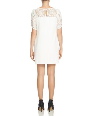 Cynthia Steffe Tulip Lace Sleeve Dress