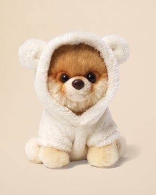 Dog Bear Suit