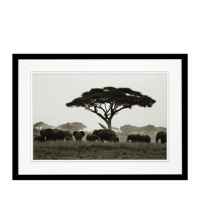 Wendover Art Group Elephants On The Plain Photograph