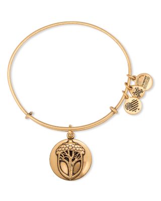 Alex and Ani Unexpected Miracles II Expandable Wire Bangle